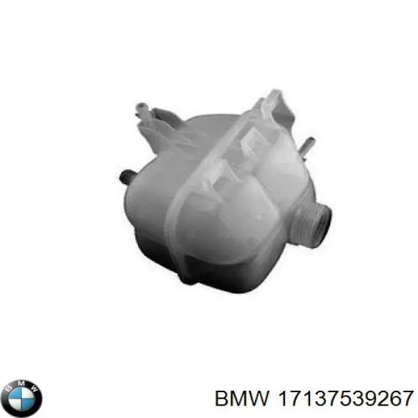 Zbiorniczek wyrównawczy układu chłodzenia BMW 17137539267 cena, od 48,93 USD
