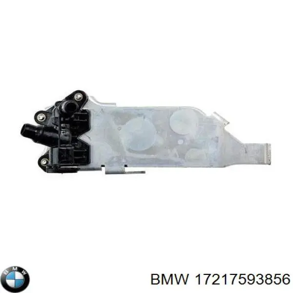 17217593856 BMW chłodnica automatycznej/mechanicznej skrzyni biegów