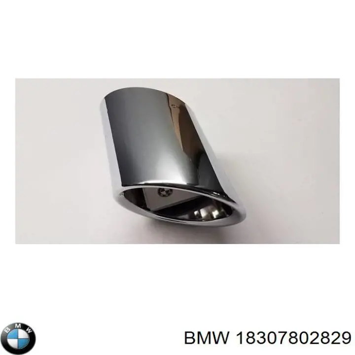 Do koszyka 18307802829 BMW Wspornik (uchwyt) tłumika przedni