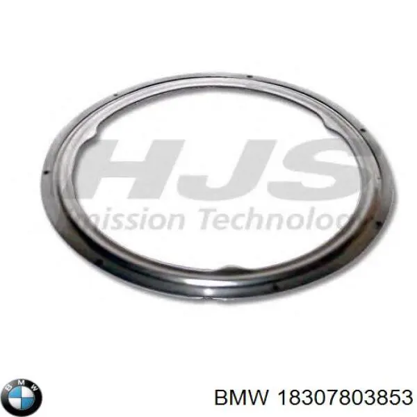Uszczelka filtra cząstek stałych przednia BMW 18307803853 cena, od 10,26 USD