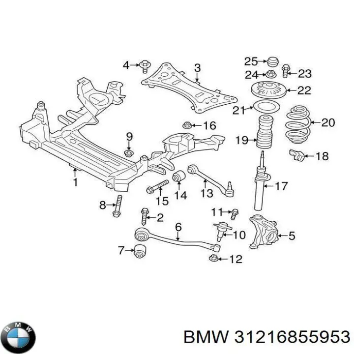 Czop (zwrotnica) przedni lewy BMW 31216855953 cena, od 212,51 USD