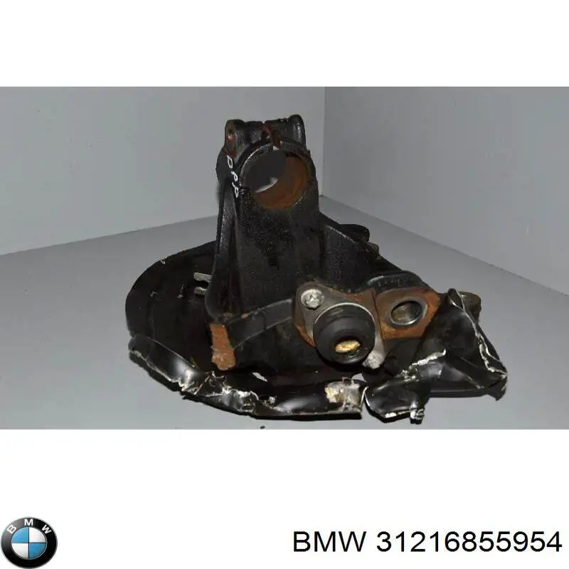 Czop (zwrotnica) przedni prawy BMW 31216855954 cena, od 209,42 USD