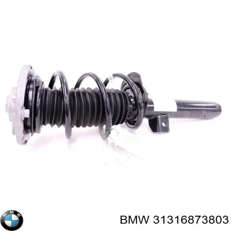 Amortyzator przedni lewy BMW 31316873803 cena, od 52,54 USD