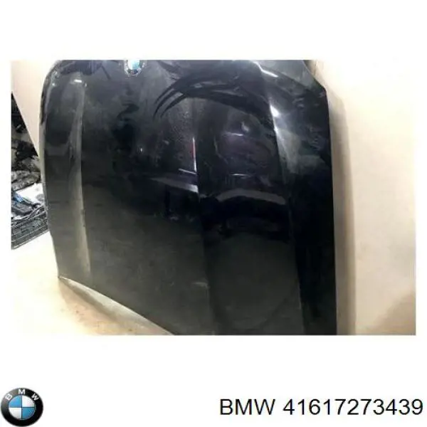 Maska silnika BMW X6 SUV (E71) (2008 - 2014) cena, od 622,02 USD
