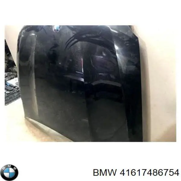 Do koszyka 41617486754 BMW Maska silnika