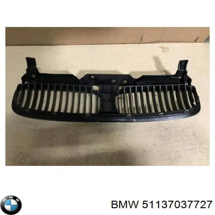 Do koszyka 51137037727 BMW Atrapa chłodnicy