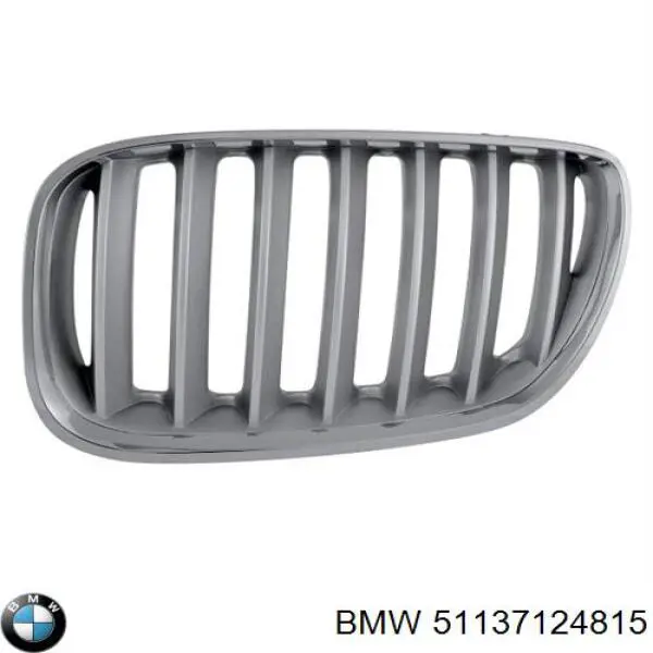 Atrapa chłodnicy lewa BMW 51137124815 cena, od 27,80 USD
