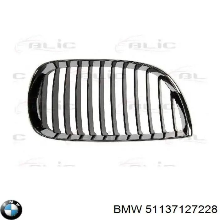 Atrapa chłodnicy prawa BMW 51137127228 cena, od 55,90 USD