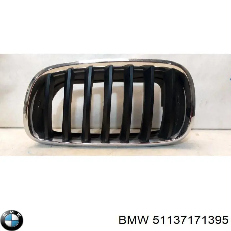 Atrapa chłodnicy lewa BMW 51137171395 cena, od 42,15 USD