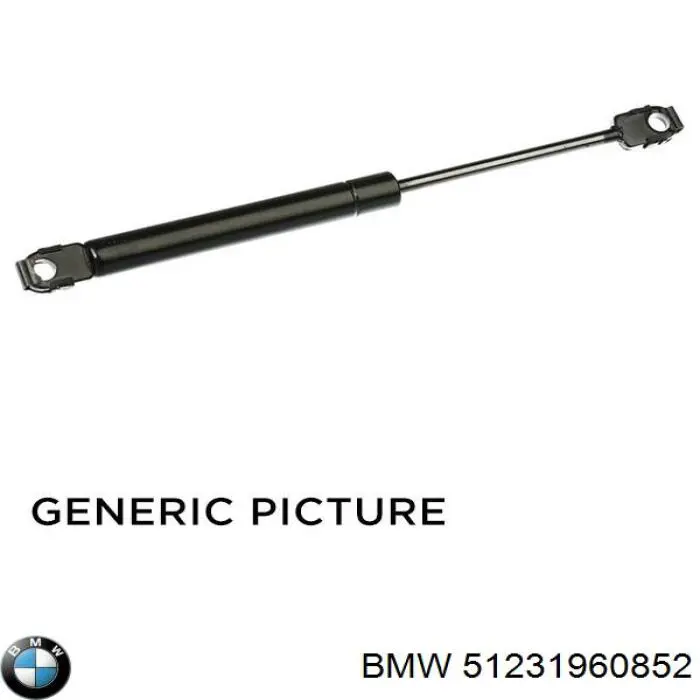 Amortyzator maski BMW 51231960852 cena, od 13,65 USD