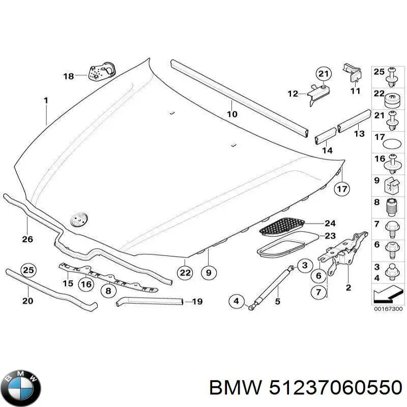 Amortyzator maski 51237060550 BMW