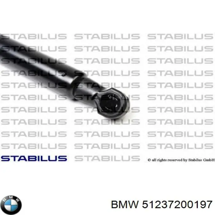 51237200197 BMW Amortyzator maski