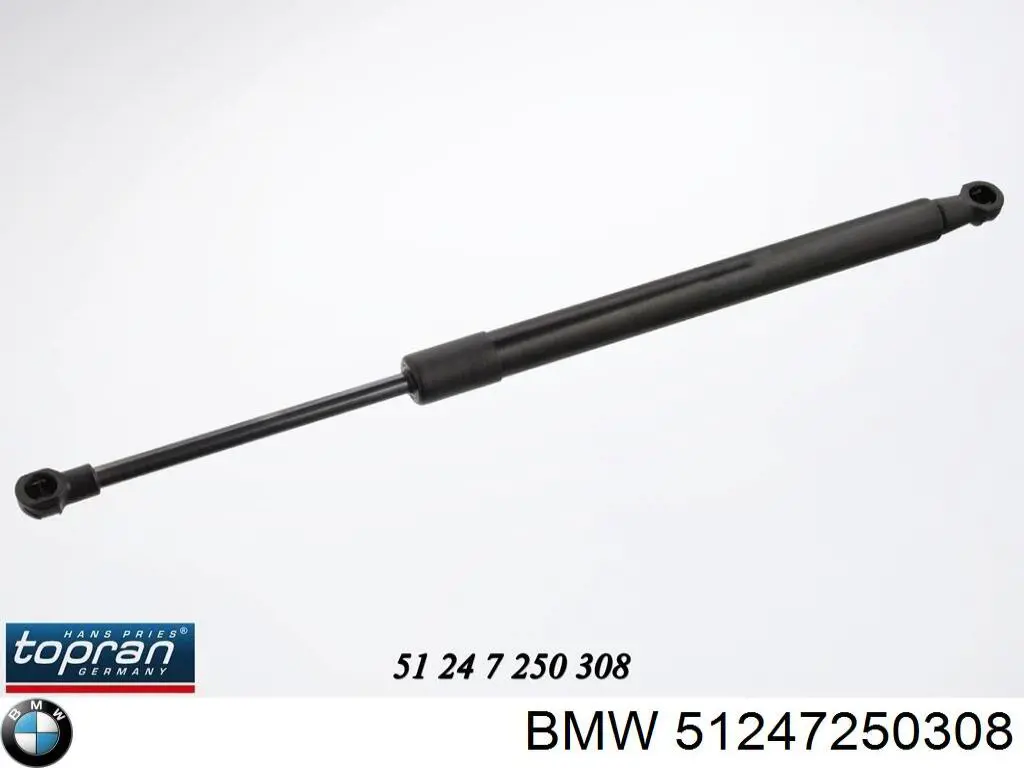 Amortyzator klapy bagażnika (3/5 drzwi-tylnych) BMW 51247250308 cena, od 13,58 USD