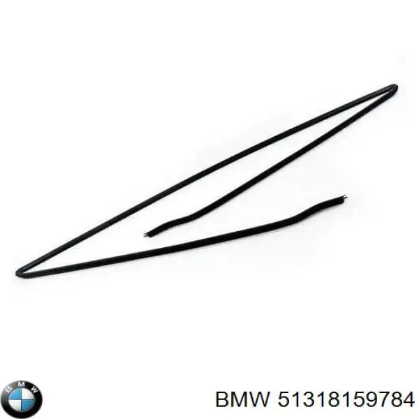 Do koszyka Listwa ochronna szyby przedniej BMW 5  E39