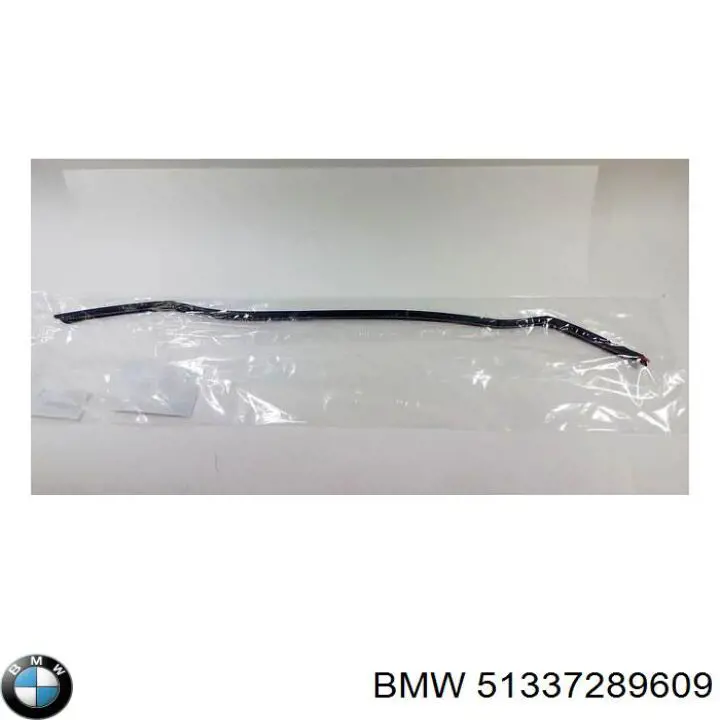 Uszczelniacz drzwi przednich (na karoserii) BMW 51337289609 cena, od 94,11 USD