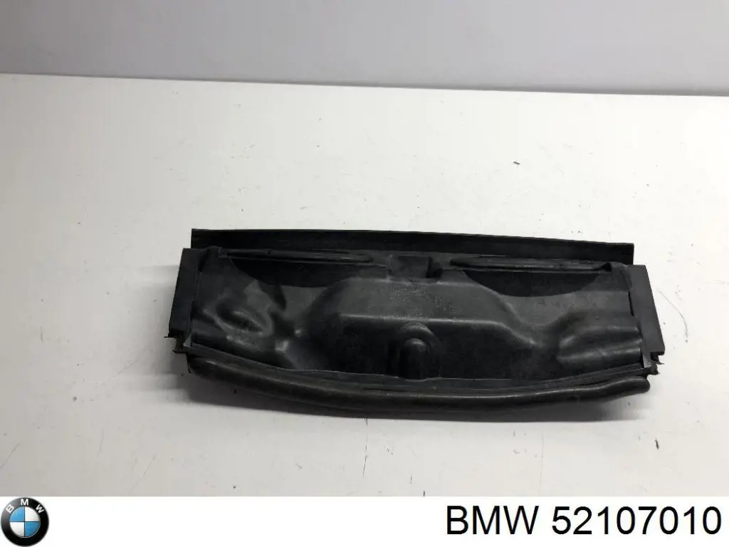 52107010 BMW 