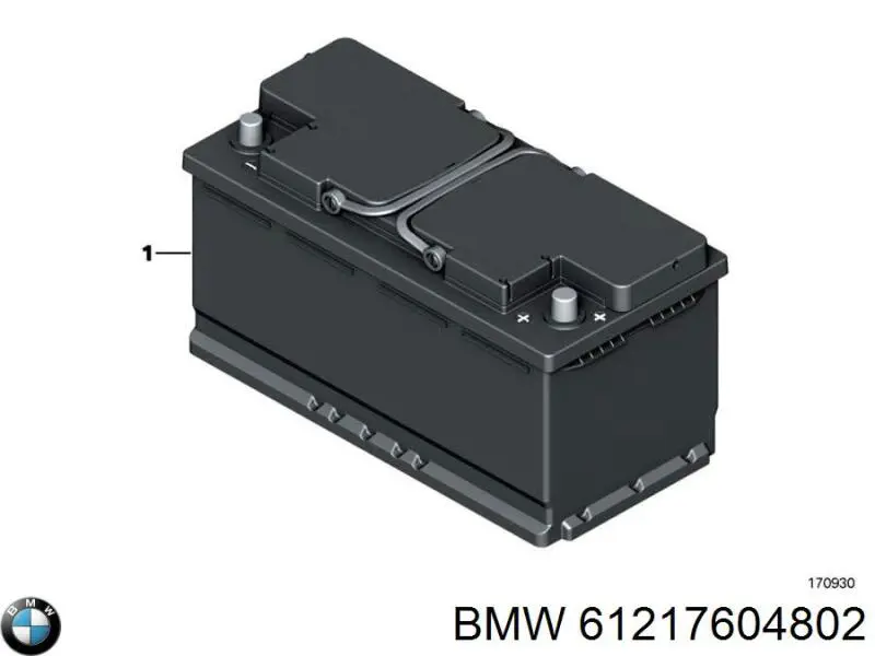 61217604802 BMW Bateria (akumulator)