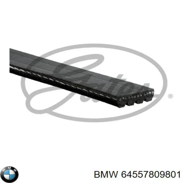 Do koszyka 64557809801 BMW Pas napędowy mechanizmów