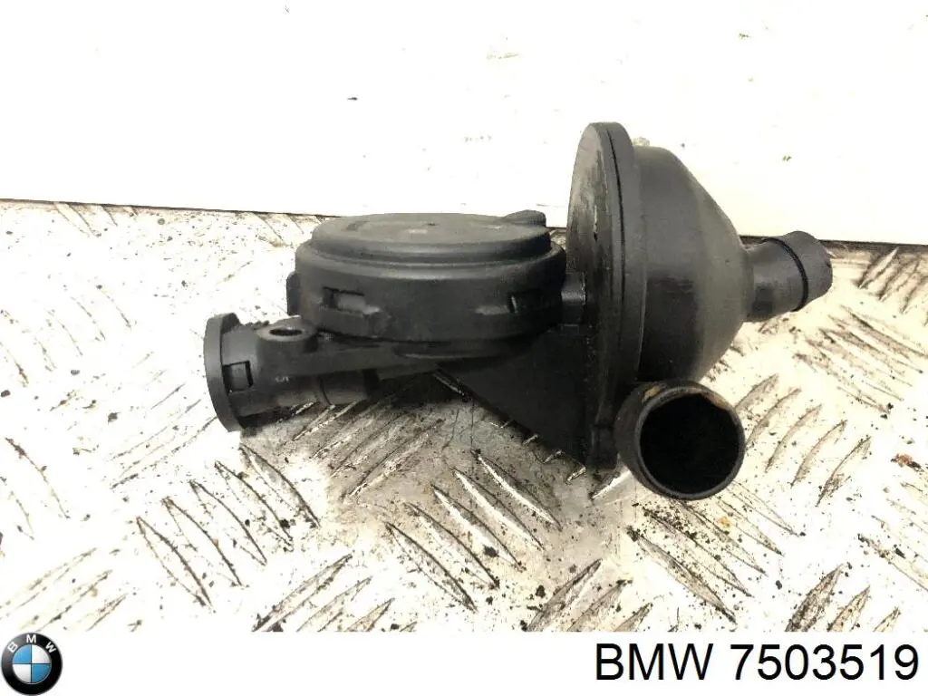 Do koszyka 7503519 BMW Regulator biegu jałowego