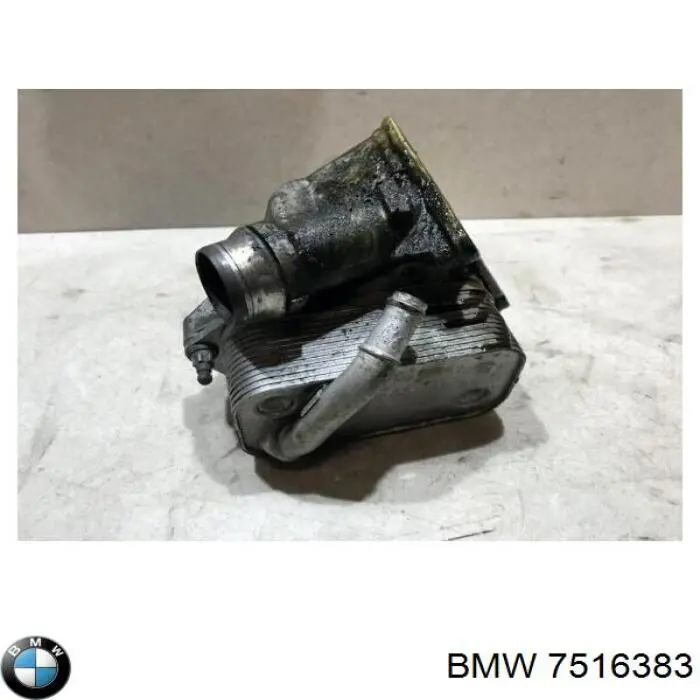 7516383 BMW Obudowa filtra oleju