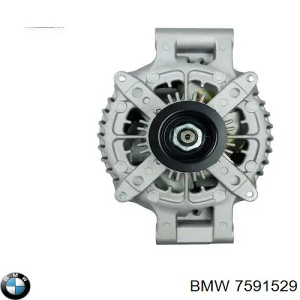 Do koszyka 12317591525 BMW Alternator