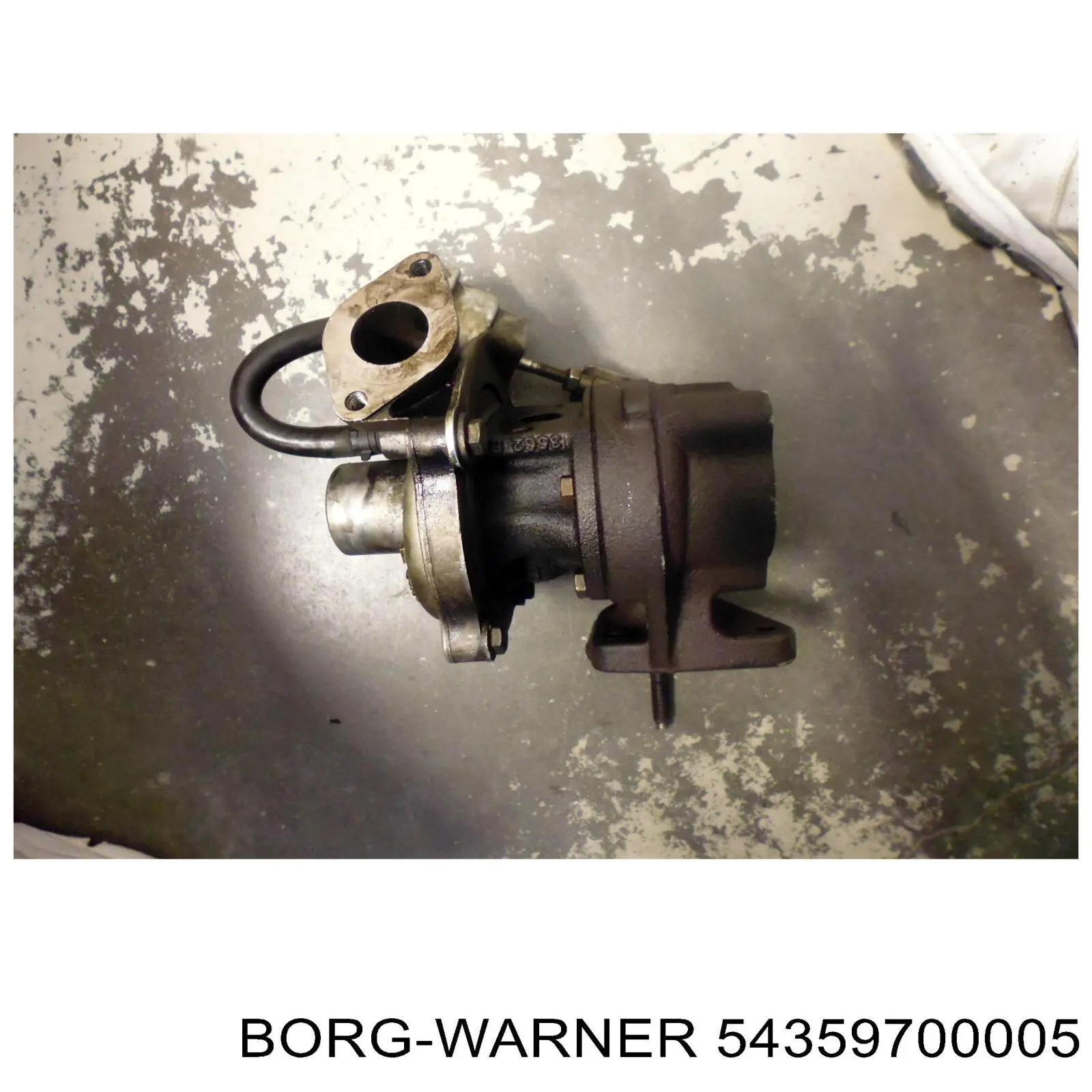 54359700005 Borg-Warner Turbina