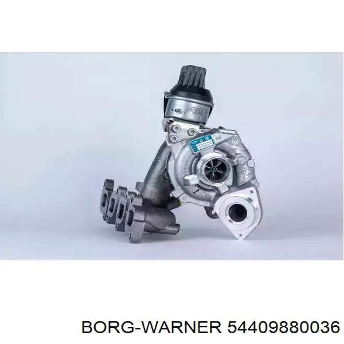54409880036 Borg-Warner Turbina