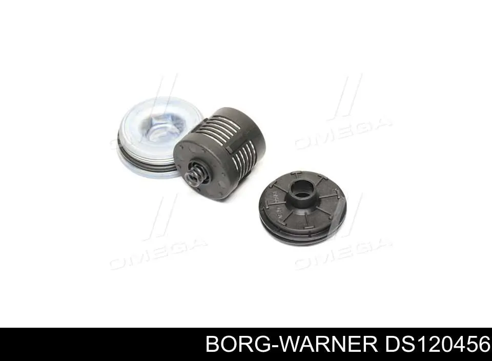 DS120456 Borg-Warner Filtr układu hydraulicznego