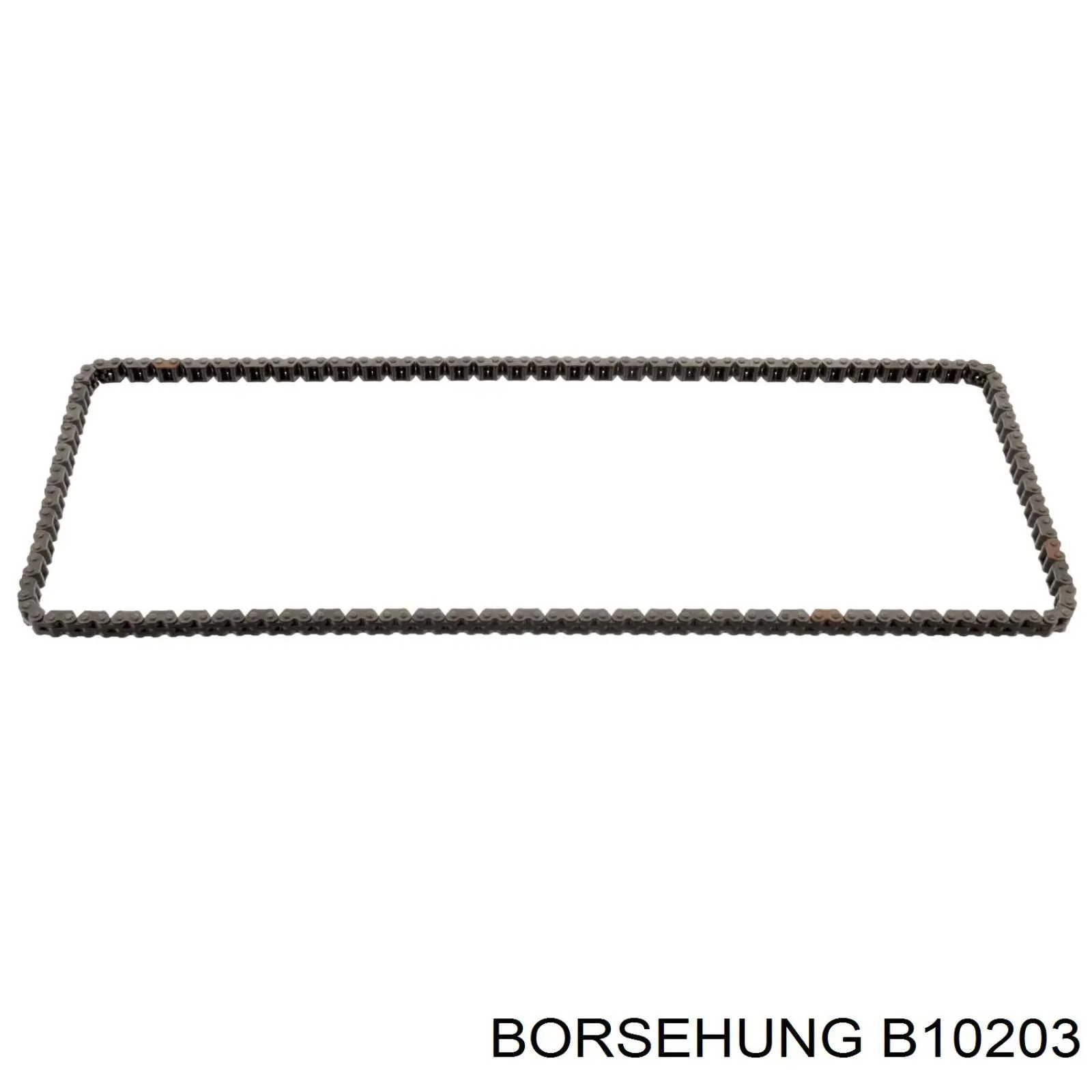 Łańcuch rozrządu, zestaw Borsehung B10203 cena, od 162,39 USD