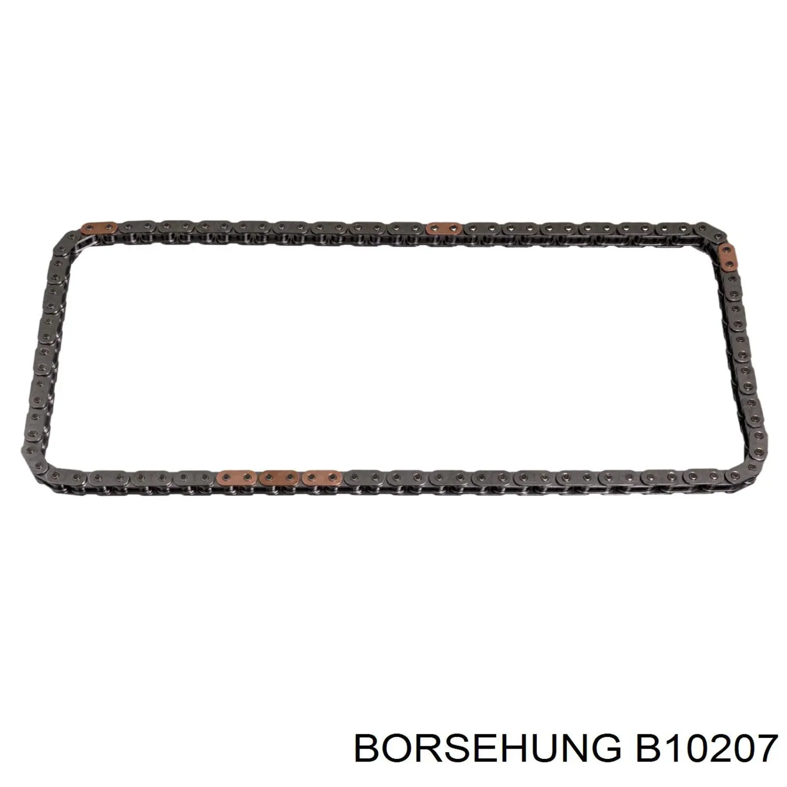 Do koszyka B10207 Borsehung Łańcuch rozrządu, zestaw