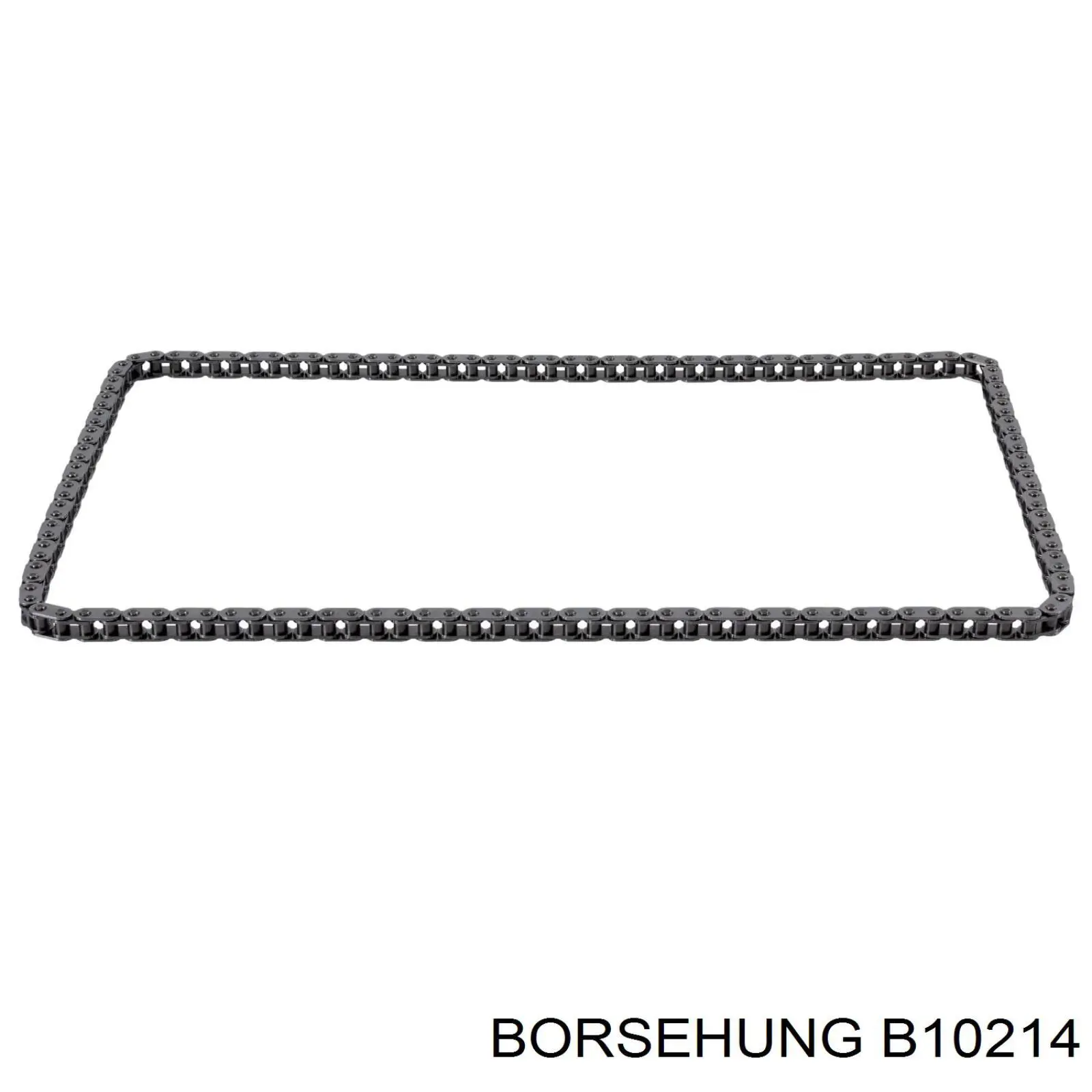  Borsehung B10214