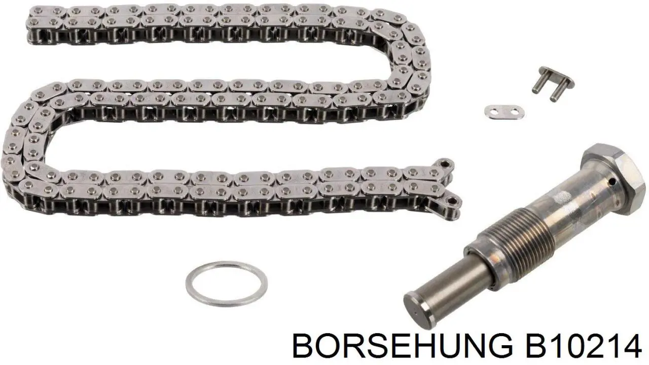 Łańcuch rozrządu, zestaw Borsehung B10214 cena, od 107,87 USD