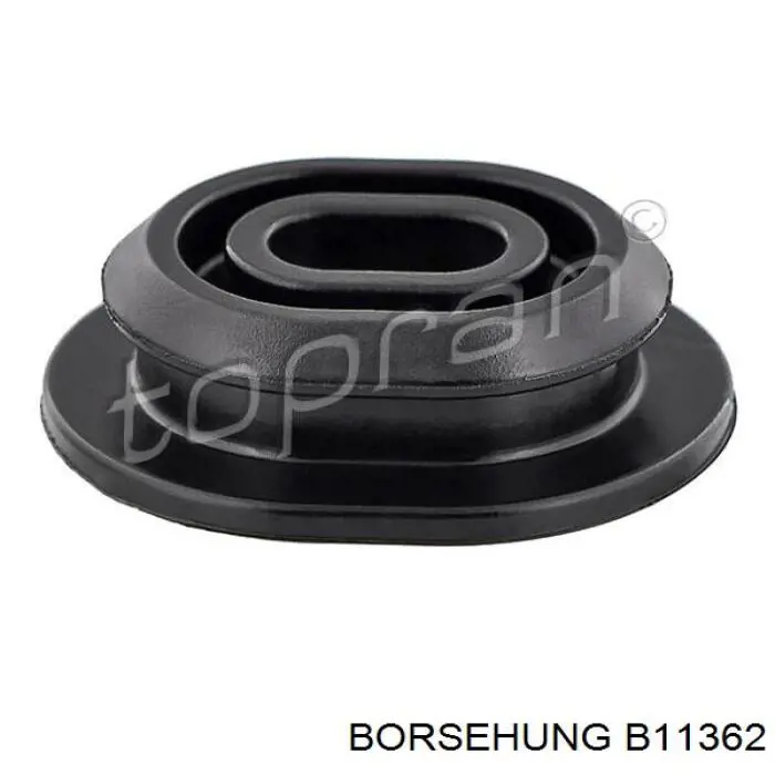 Do koszyka B11362 Borsehung Wspornik chłodnicy dolny