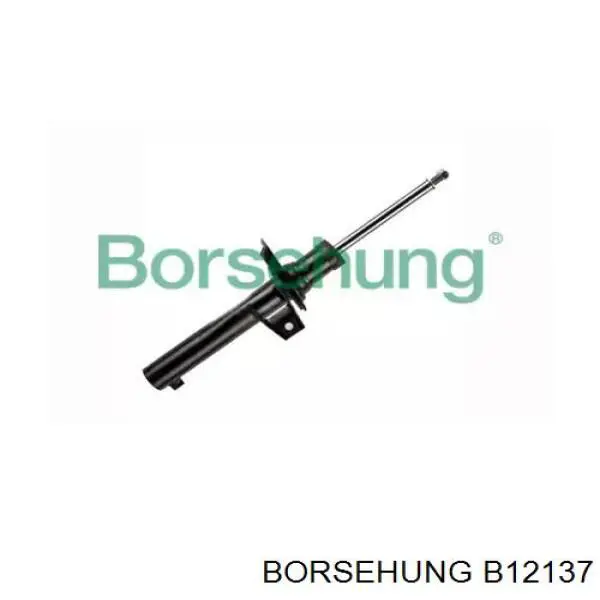 Amortyzator przedni Borsehung B12137 cena, od 47,02 USD