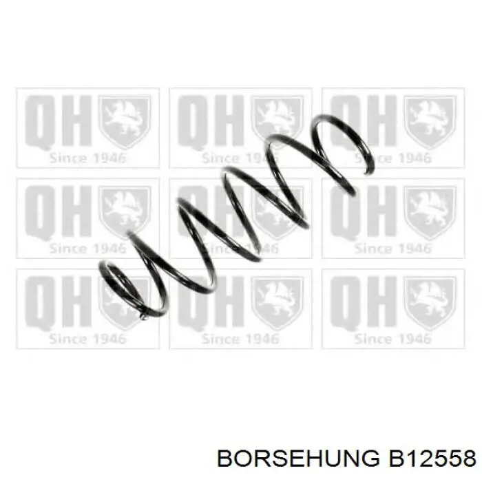 Sprężyna przednia Borsehung B12558 cena, od 32,94 USD