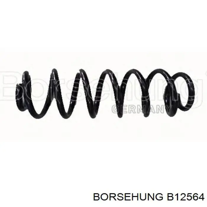 Sprężyna przednia Borsehung B12564 cena, od 33,10 USD