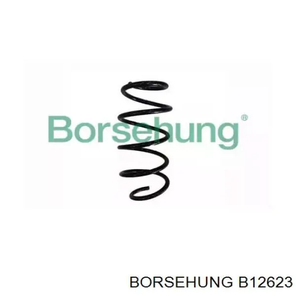 Sprężyna przednia Borsehung B12623 cena, od 30,01 USD