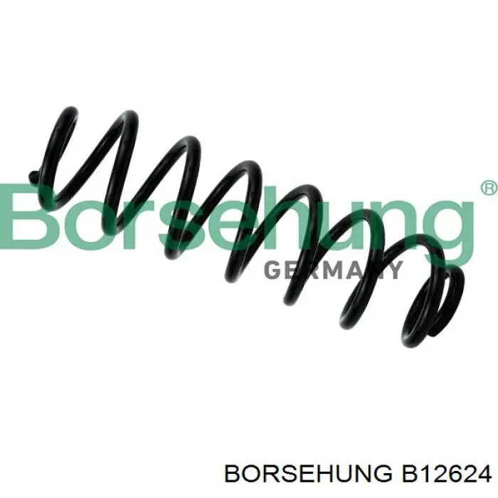 Sprężyna tylna Borsehung B12624 cena, od 37,71 USD