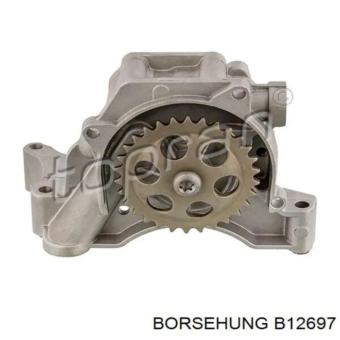 Pompa oleju Borsehung B12697 cena, od 90,09 USD