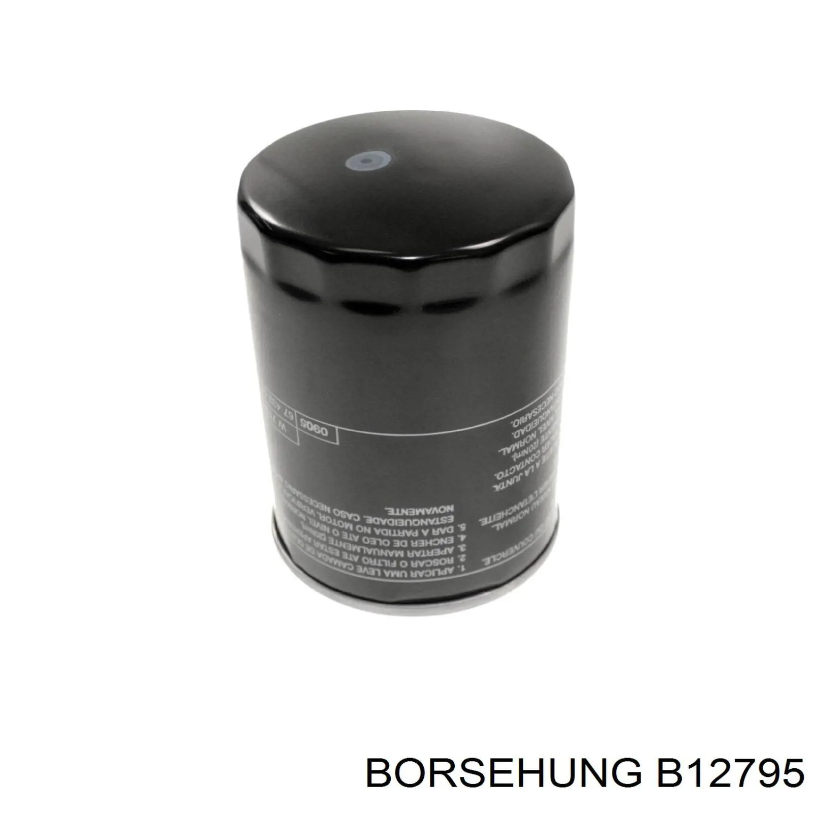 Filtr oleju Borsehung B12795 cena, od 14,64 USD