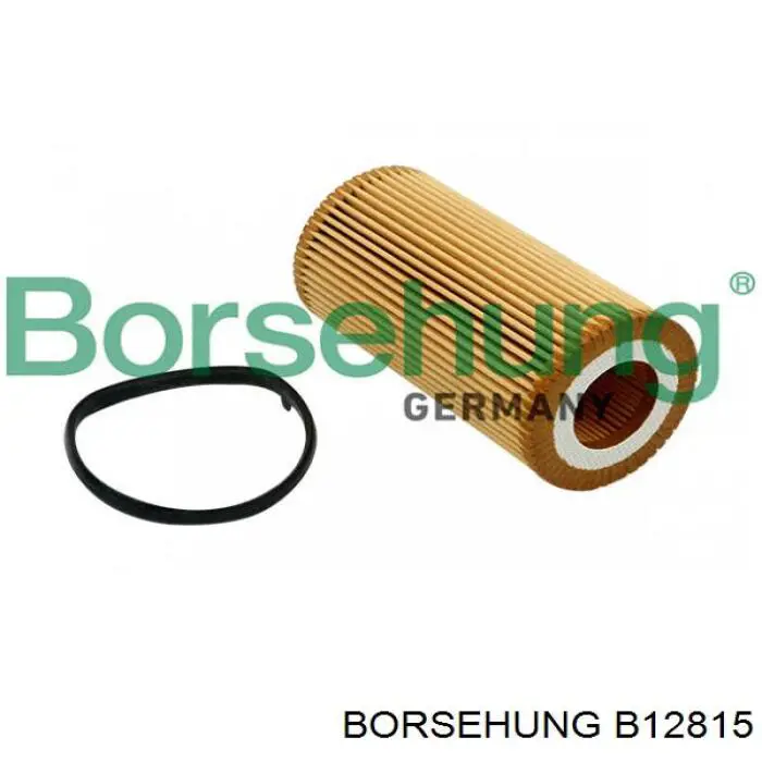 Filtr oleju Borsehung B12815 cena, od 8,39 USD