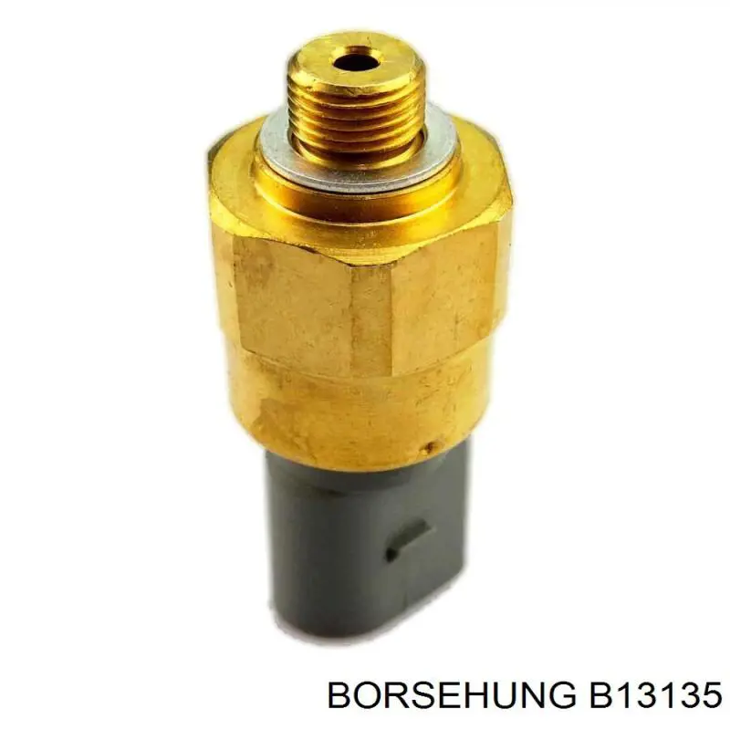 Czujnik pompy wspomagania Borsehung B13135 cena, od 21,32 USD