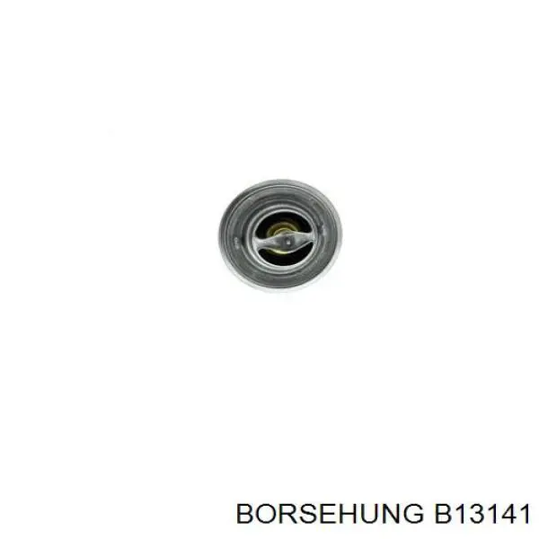 Termostat Borsehung B13141 cena, od 14,39 USD