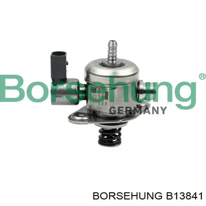 B13841 Borsehung Pompa wtryskowa wysokiego ciśnienia