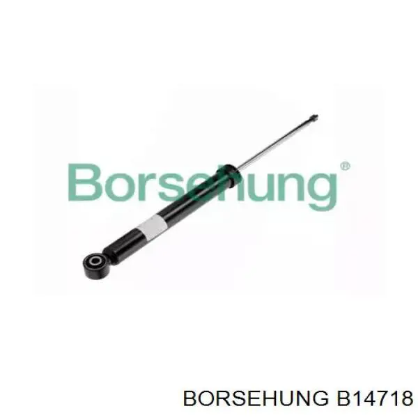Amortyzator tylny Borsehung B14718 cena, od 38,25 USD