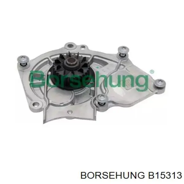 Pompa chłodząca wodna Borsehung B15313 cena, od 63,36 USD