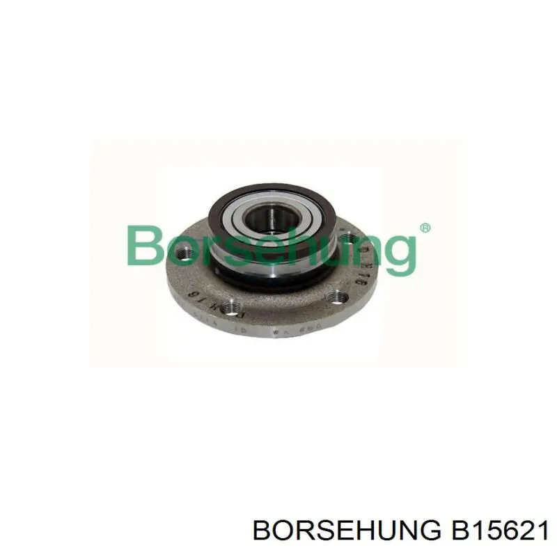 B15621 Borsehung Piasta tylna