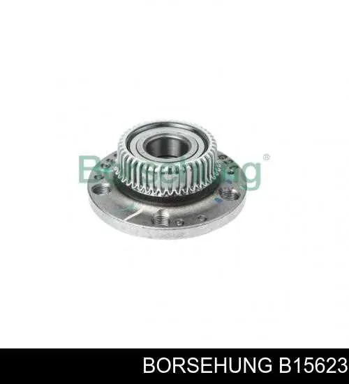 B15623 Borsehung Piasta tylna