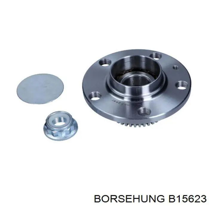 Piasta tylna Borsehung B15623 cena, od 54,73 USD