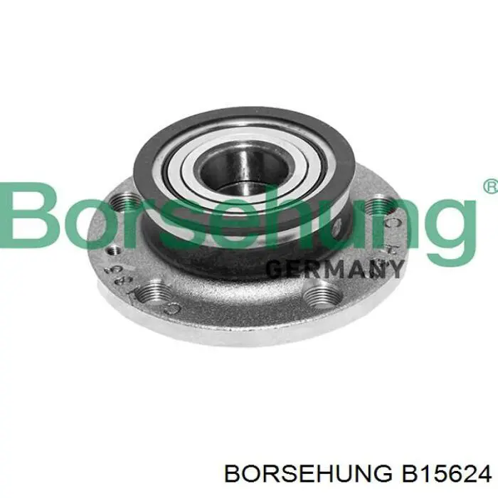 B15624 Borsehung Piasta tylna